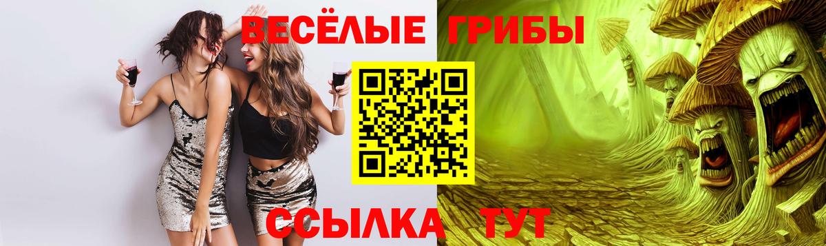 Псилоцибиновые грибы Magic Shrooms Каменск-Шахтинский